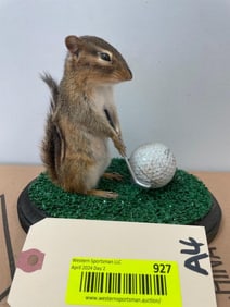 Cute little golfing Chipmuck , on green with club and ball. 6 inches tall, on wood base 7 X 5 inches