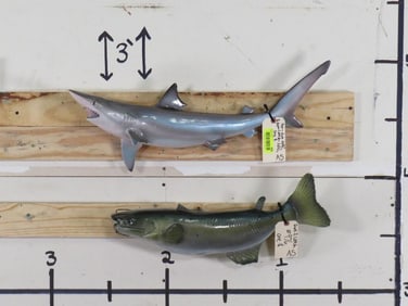 Repro Shark & Repro Catfish Mts (ONE$) TAXIDERMY