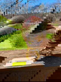 Awesome , ostrich egg, with Elephants painted on it, with unique display stand, is 9 inches tall, be