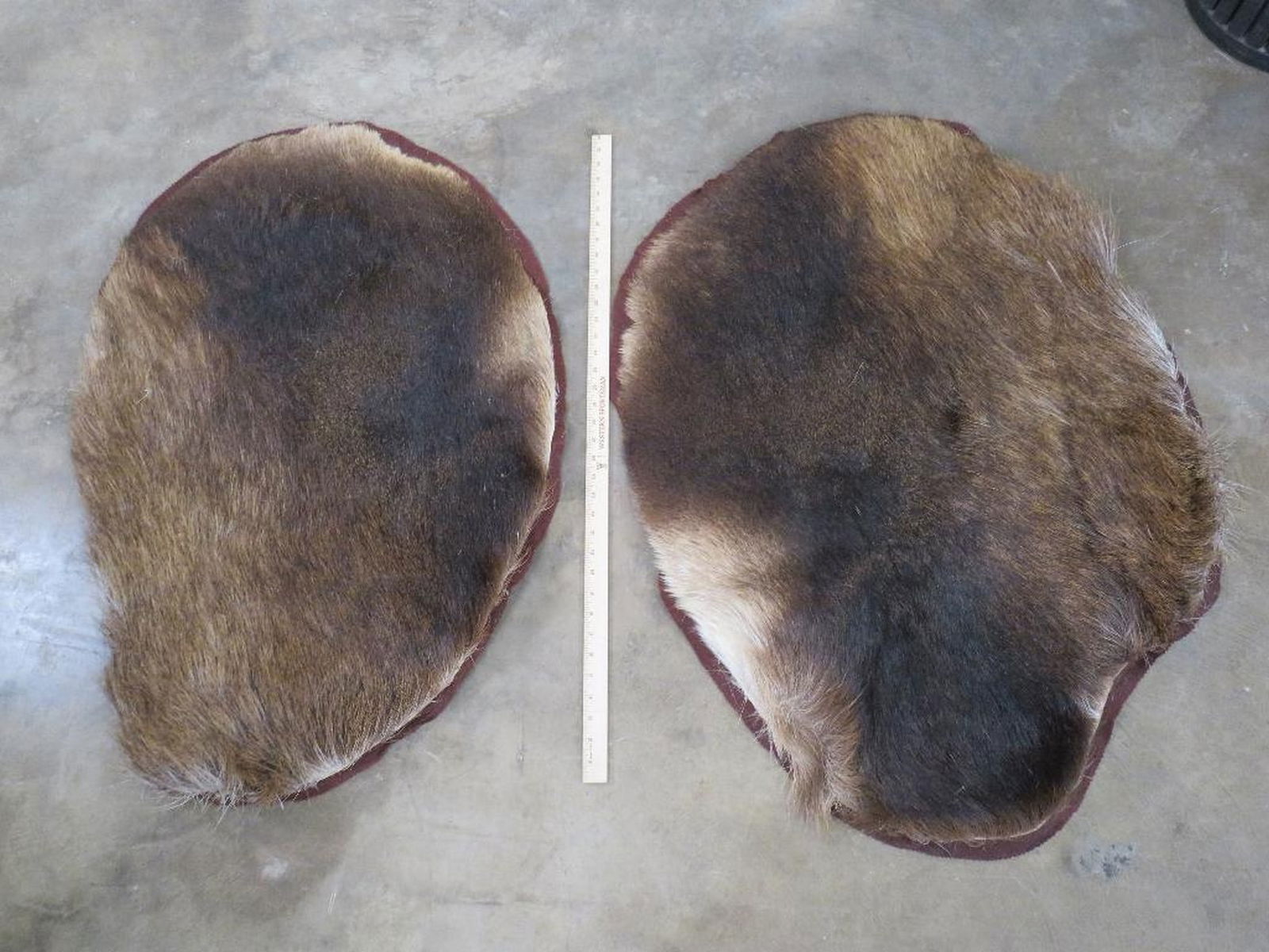 2 Felted Elk Hide Rugs (ONE$) TAXIDERMY (1 of 5)