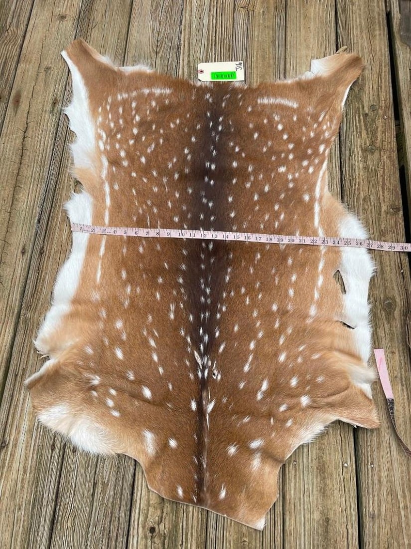 Beautiful, NEW Axis deer hide,, soft tanned, 42 inches long x 27 inches wide, excellent taxidermy , (1 of 3)