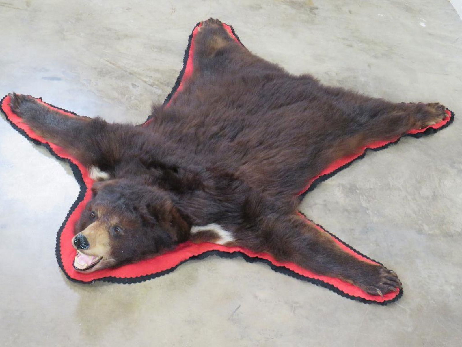 Nice Felted Black Bear Rug w/Mounted Head TAXIDERMY (1 of 11)