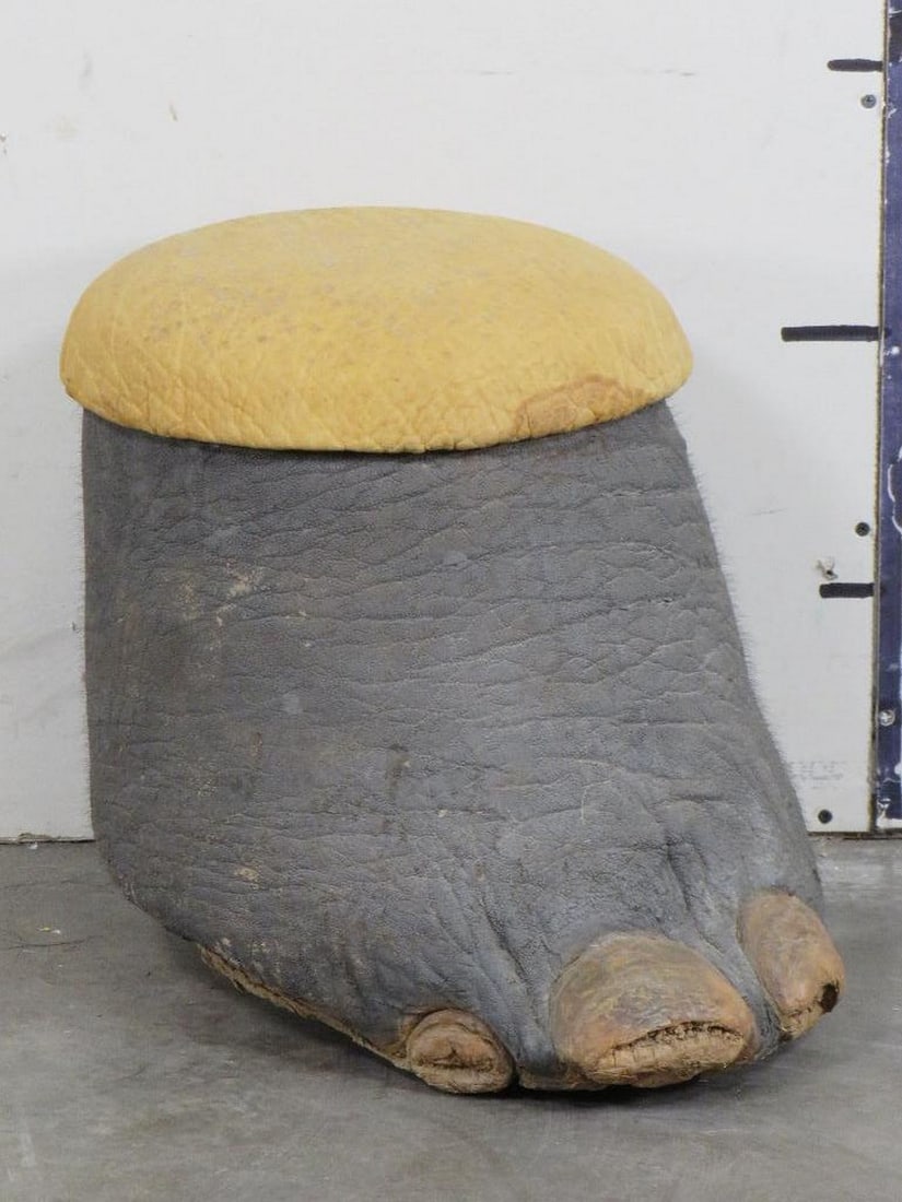 Elephant Foot Stool w/Elephant Hide Cushion TAXIDERMY (1 of 7)
