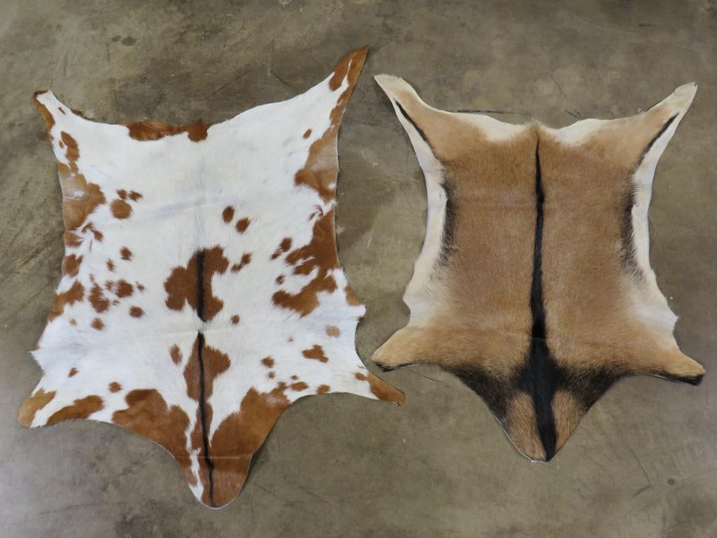 2 Brand New Goat Hides (ONE$) TAXIDERMY (1 of 1)