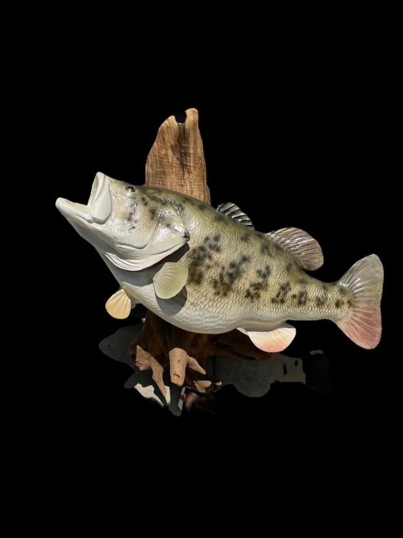 World Record Largemouth Bass, High quality Taxidermy Repro, 22 lb. 4 oz. caught in Georgia in 1932 ! (1 of 3)