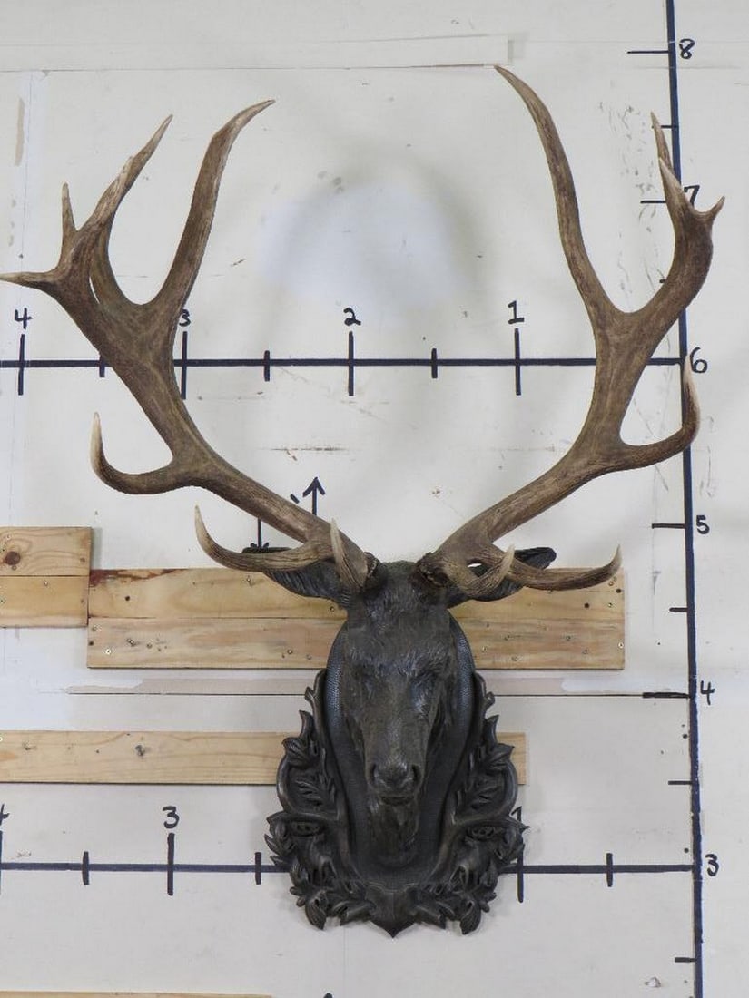 Beautiful Red Stag Art Piece w/Real Removable Stag Antlers, Stag Head has Bronze Appearance (1 of 9)