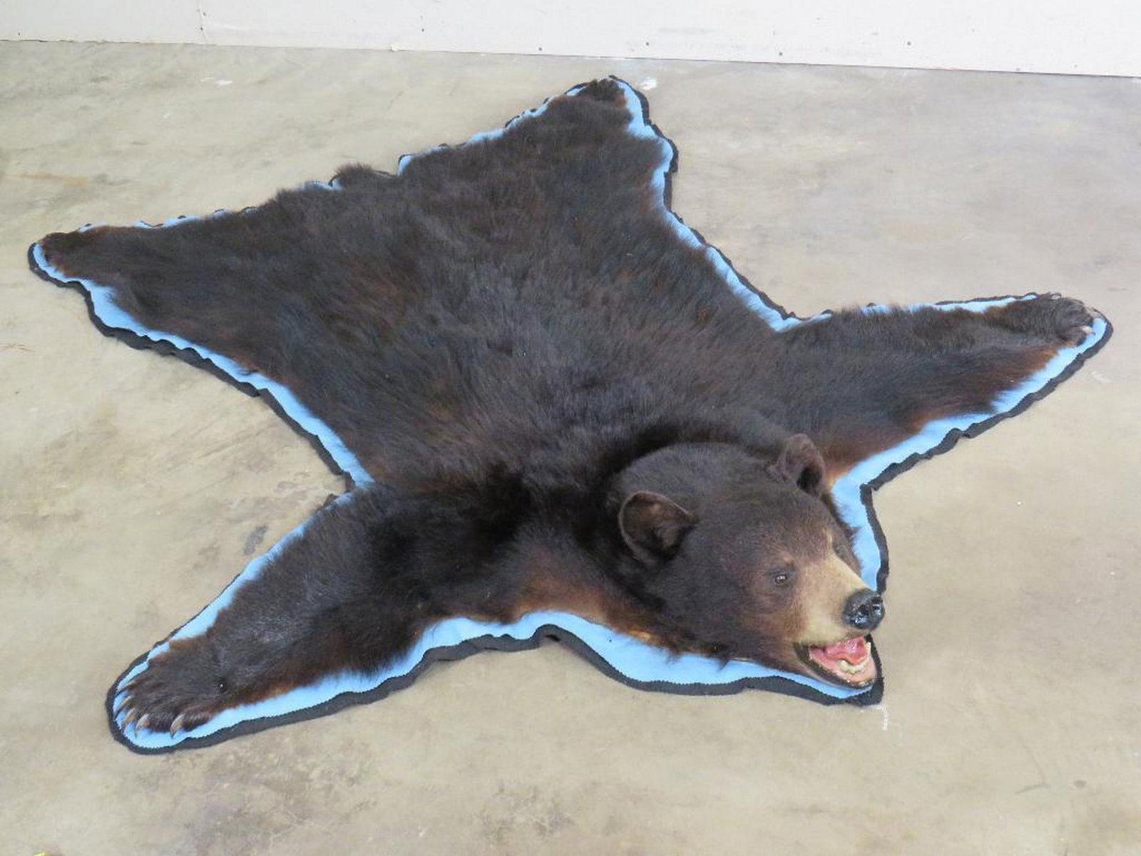 XL Felted Black Bear Rug w/Mounted Head and all Claws TAXIDERMY (1 of 12)