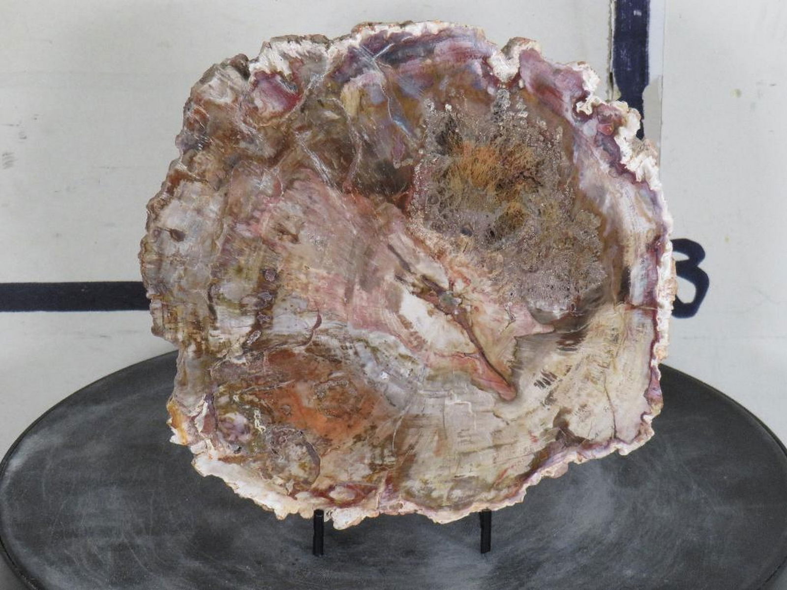 Beautiful Polished Petrified Wood Slab w/Stand from Madagascar ROCKS, MINERALS, FOSSILS: Approx 7"Wx7.5"Tx7/8"Thick 3.1lbs