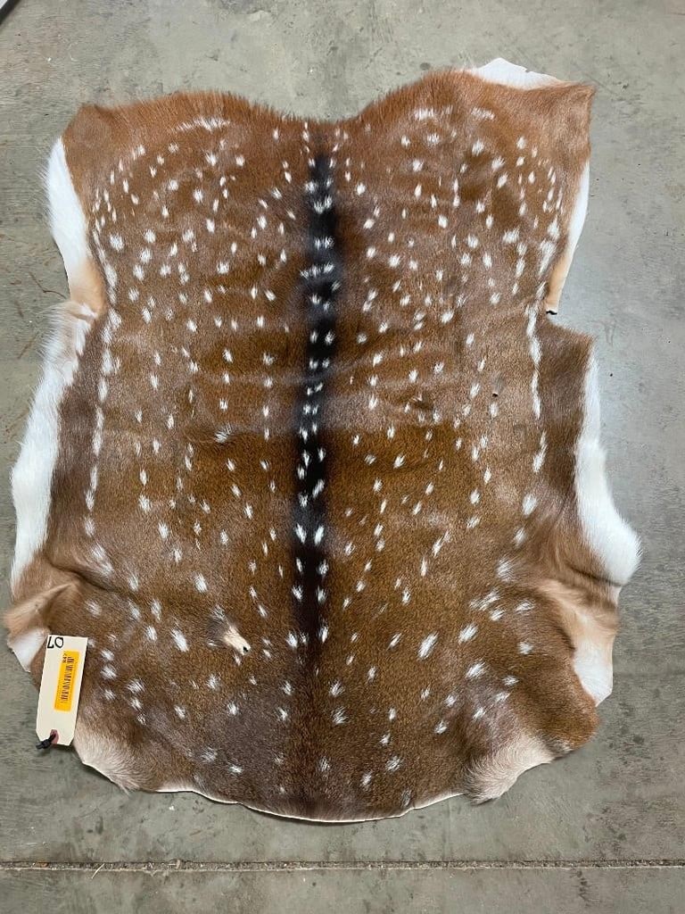Beautiful, NEW, Axis deer hide/skin, 41 inches long X 30 inches wide, at widest point, soft tan, gre (1 of 3)