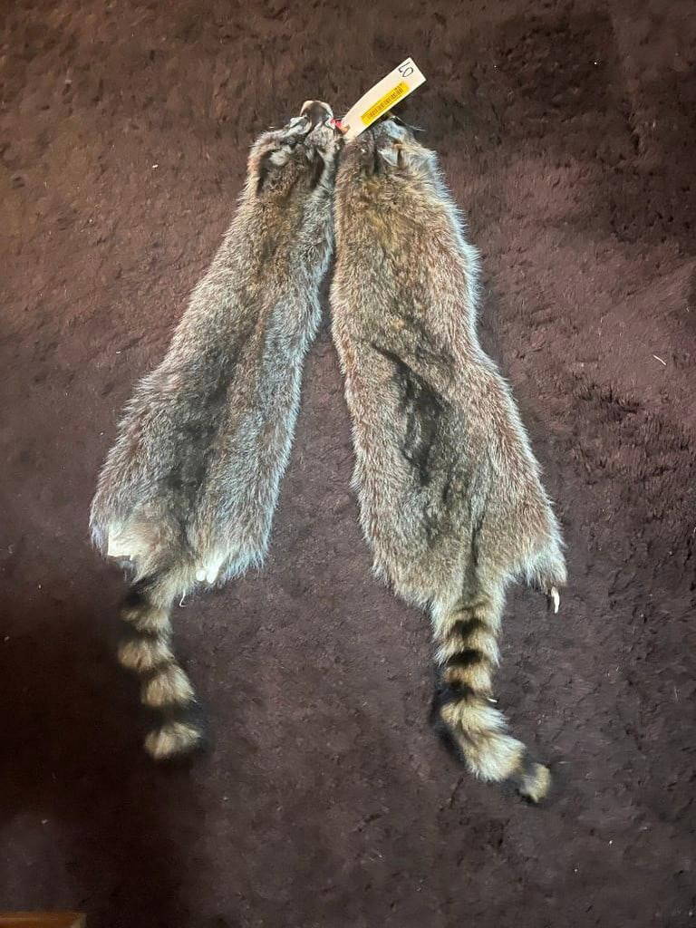 Sports Auctions Vintage Equipment & Gear Page 16