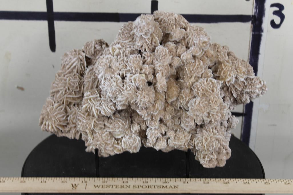 Stunning "DESERT ROSE GYPSUM" or Selenite Crystal Formation Cluster. Weight: 7lbs 1oz (1 of 8)