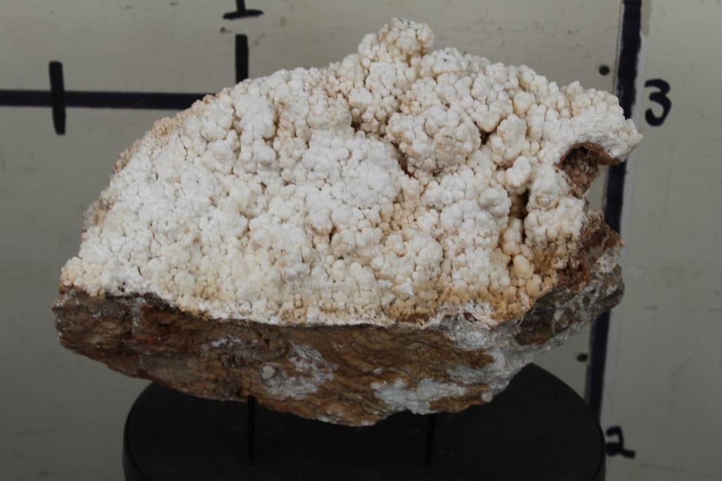XL 33lb 3oz White ARAGONITE Natural Kokoweef Formation on Sandstone (1 of 8)