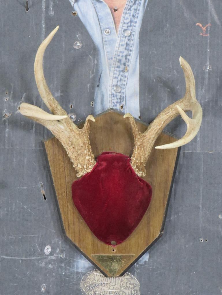 7-Point WHITETAIL DEER Rack on Wooden Plaque (1 of 6)