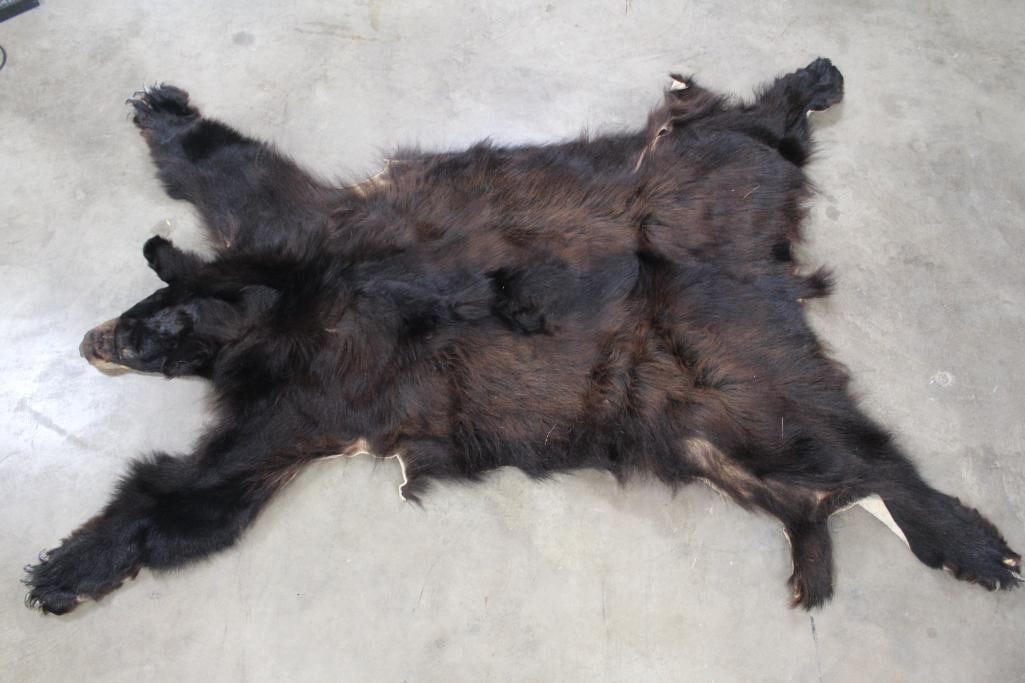 BLACK BEAR Hide/Pelt with its Head and All its Claws (1 of 10)