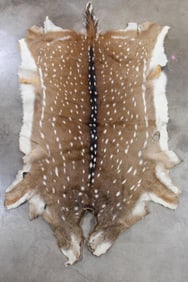 Large Soft and Nice AXIS DEER Hide/Pelt