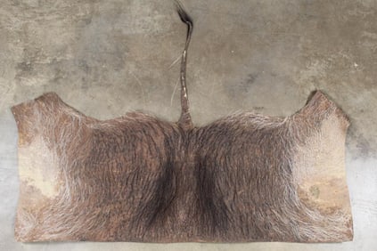 WARTHOG Back Hide with Tail