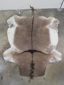 Donkey Hide with Tail