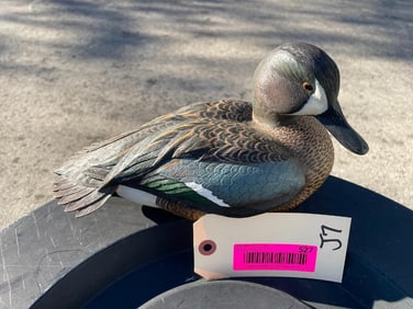 Beautiful BLUE WING TEAL, Duck Decoy Sculpture by Master Carver Sam Nottleman. #1309/2900