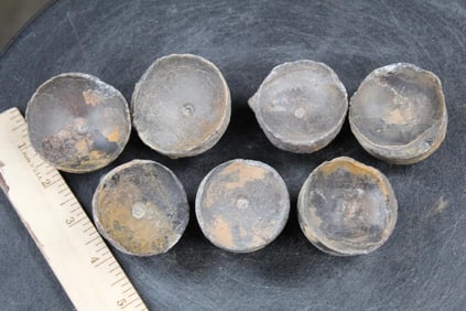 7 ORTHOCONE Vertebra and Socket FOSSILS all between 1.75"-2" in Diameter. One Price.