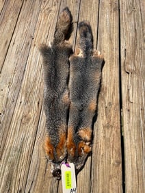 2 NEW Beautiful Soft and Tanned GREY FOX Fur Hides