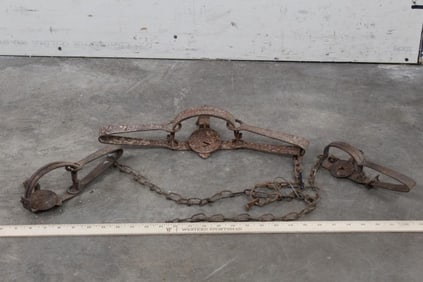 3 Old Rusty ANIMAL TRAPS or LEG TRAPS