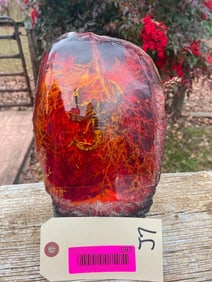 Awesome looking SCORPION in Amber (not old). A simulated, but REAL LOOKING Display