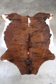*BRAND NEW* Brindle & White Belly COWHIDE
