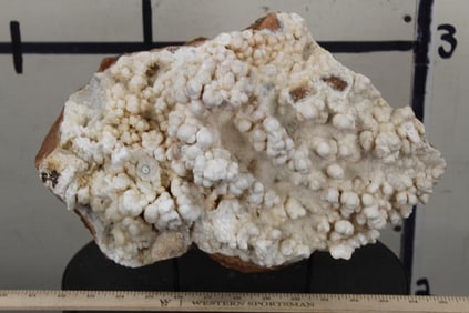 BIG 19lb 14oz White ARAGONITE Natural Kokoweef Formation on Sandstone, aka "Cave Calcite" with Stand
