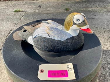 Beautiful, Spectacled EIDER DUCK Decoy. By Master carver Jules A. Bouillet - #751/3500