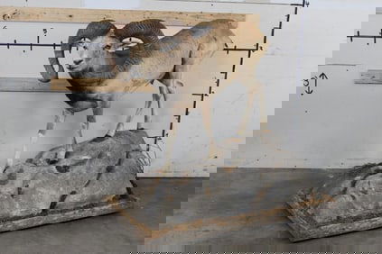 Very Nice Life-sized RED SHEEP on a Base with Wheels