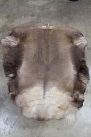 BRAND NEW CARIBOU Hide Rug. Nice and Soft Pelt
