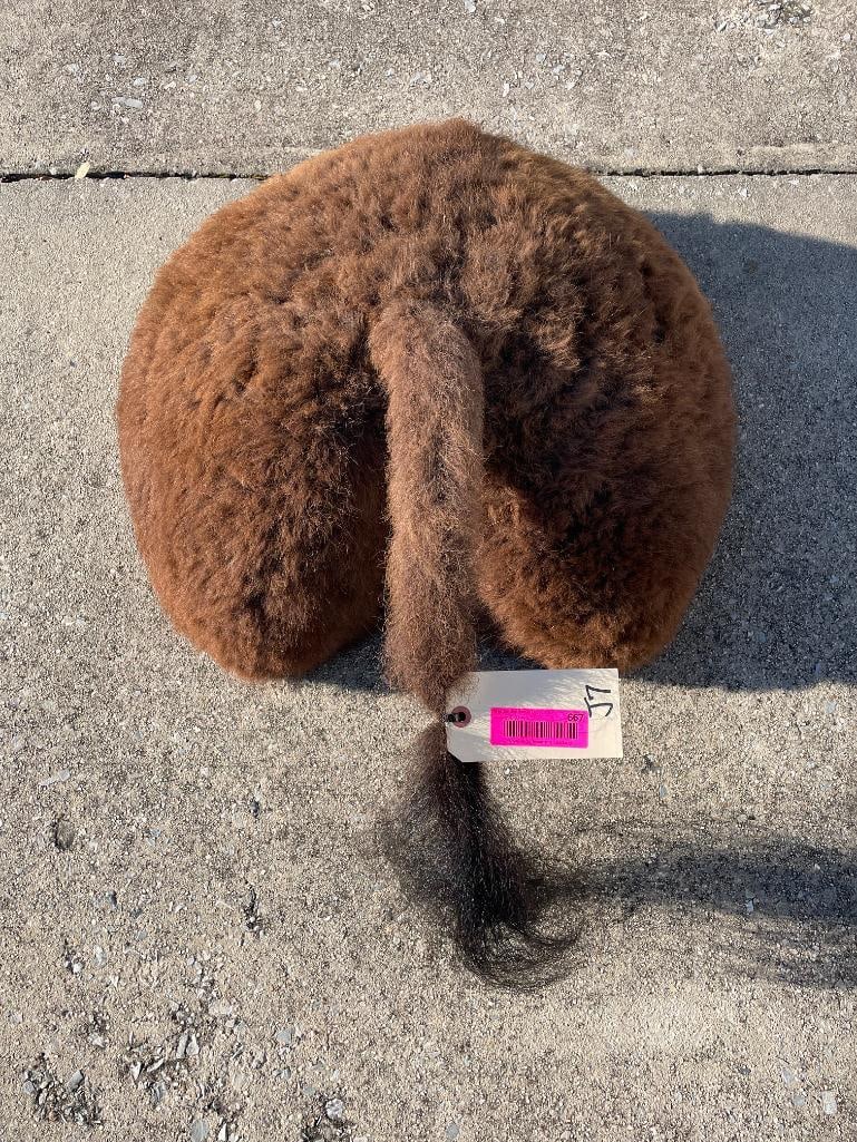 BUFFALO/BISON Rump/Butt. *NEW Taxidermy* with tail (1 of 4)