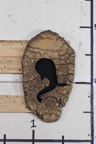 ELEPHANT FOOT SOLE with an elephant silhouette and wall hanger