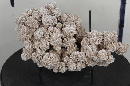 "Desert Rose" GYPSUM or SELENITE Crystal Formation with Display Stand. Wt: 4lbs 5oz