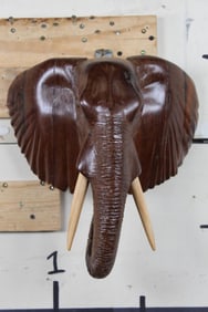Hand Carved Ironwood or Leadwood ELEPHANT Head from Zimbabwe