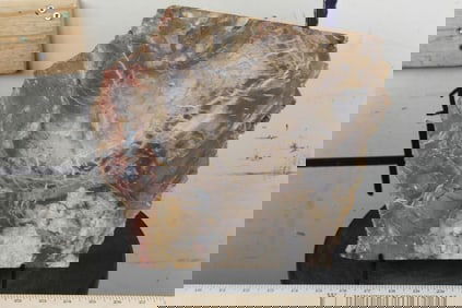 BIG 9lb 7oz Natural Arizona Rainbow PETRIFIED WOOD Slab Slice with Stand