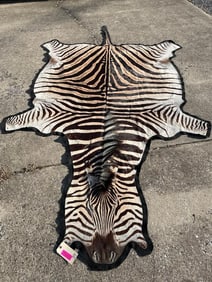 Beautiful XXLarge Felted ZEBRA Rug