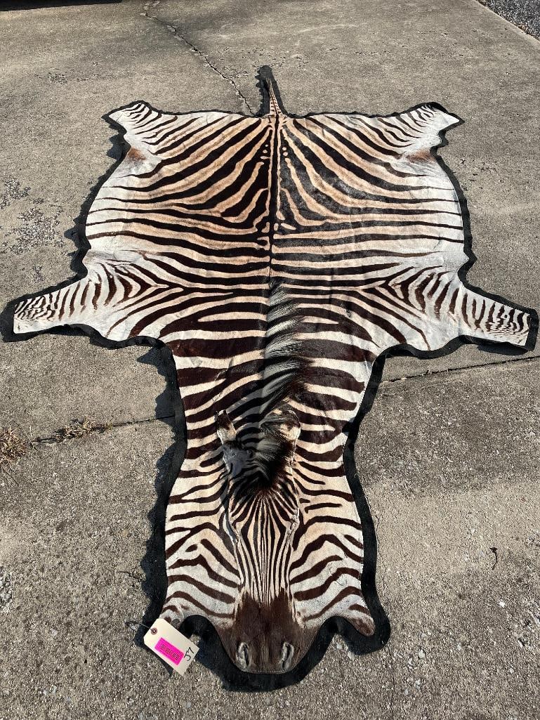 Beautiful XXLarge Felted ZEBRA Rug (1 of 5)