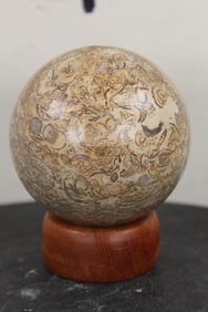 2lb 6oz Polished DINOSAUR BONE Fossil Sphere with Wooden Ring Display Stand. 3 5/8" Diameter Sphere