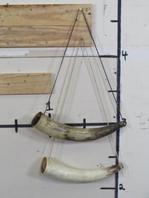 2 "WAR HORNS" Made from Steer Horns. One Price.