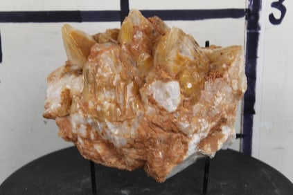 9lb 10oz WHITE & HONEY "DOGTOOTH" Calcite. 8.25"L x 5.5"Thick with Display Stand