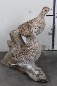 2 Life-sized GROUSE Birds on Wooden Branch Base