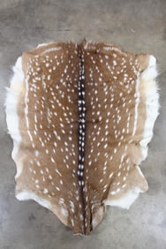 Nice and Soft AXIS DEER HIDE or PELT