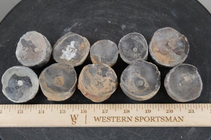 10 ORTHOCONE Fossil Vertebra Segments from Morocco. 1lb 6oz Total Weight