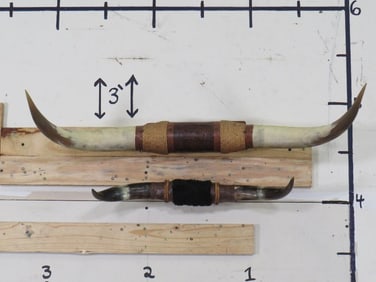 2 Vintage STEER HORNS for One Price