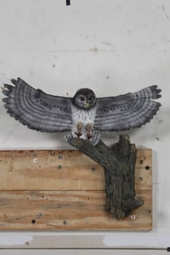 Decorative Plaster OWL on a Tree Branch with Wall Hanger