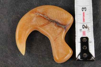 Large LION Claw Carved from the sole of an ELEPHANT