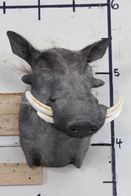 Nice WARTHOG Shoulder Mount