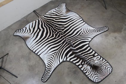 Very Nice ZEBRA Hide Rug with Carpet Backing and Leather Piping