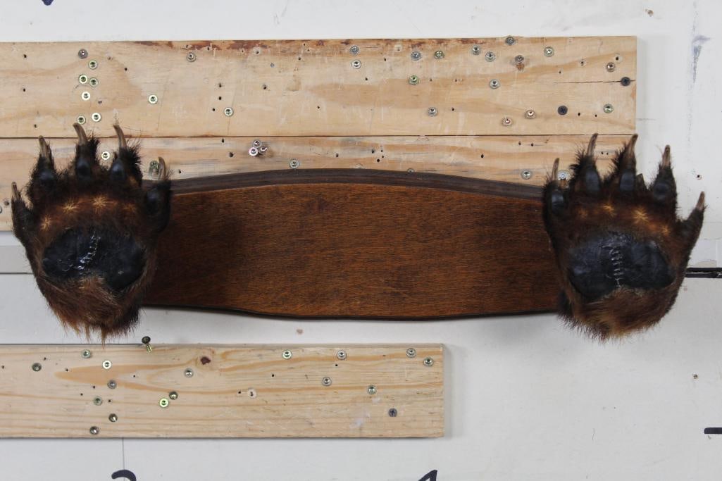 Very Unique set of BLACK BEAR Paws with 10 BIG Claws (1 of 8)